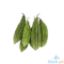 Picture of Global Fresh Ampalaya