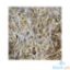 Picture of Global Fresh Togue Long