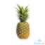 Picture of Jed Mktg Pineapple