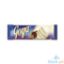 Picture of Goya Bar Cookies & Cream 30g