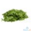 Picture of Global Fresh Aragula Lettuce Per Kilo